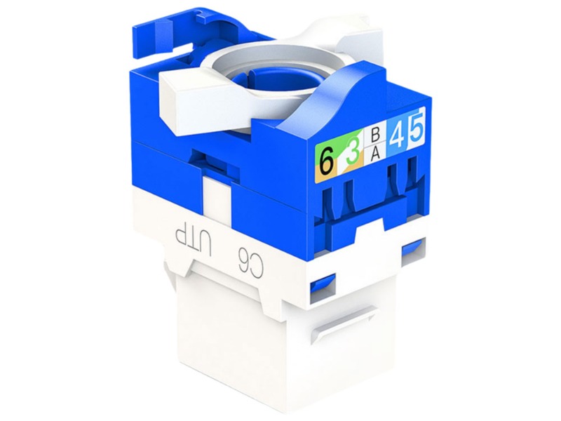 Category 6 Unshielded Network Module
